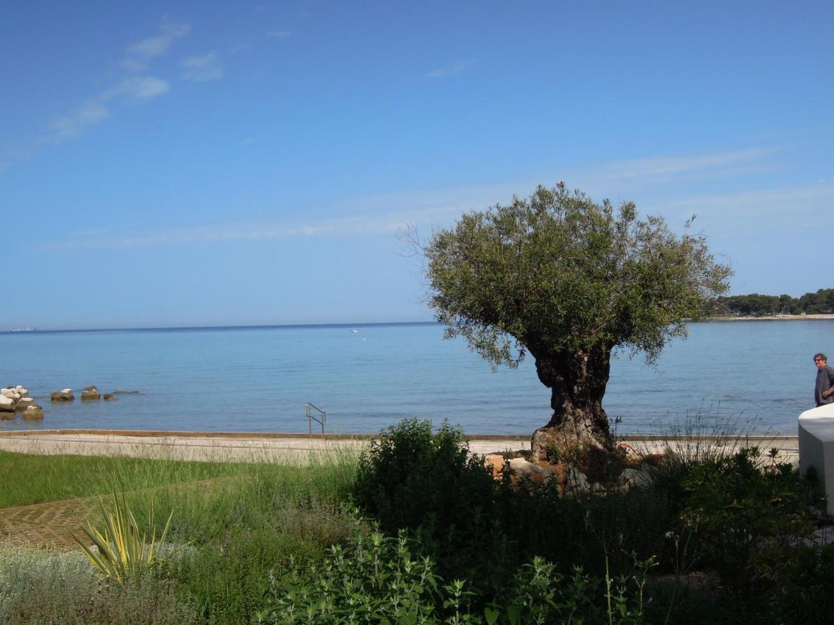 Stella Maris Appartement Umag Luaran gambar